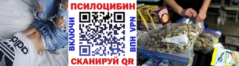 Галлюциногенные грибы GOLDEN TEACHER Бородино